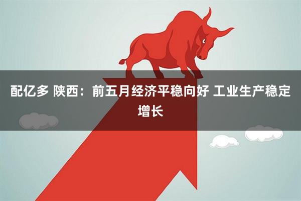 配亿多 陕西:前五月经济平稳向好 工业生产稳定增长