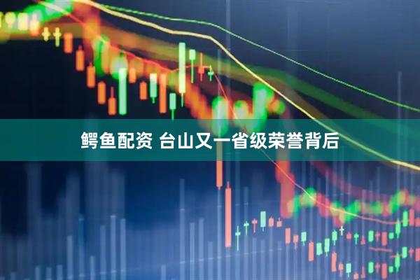 鳄鱼配资 台山又一省级荣誉背后