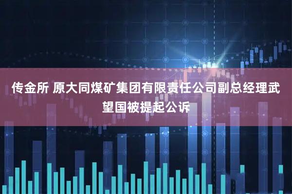 传金所 原大同煤矿集团有限责任公司副总经理武望国被提起公诉