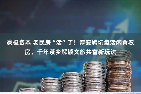 豪极资本 老民房“活”了！淳安鸠坑盘活闲置农房，千年茶乡解锁文旅共富新玩法